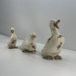 Ducks Decorative Porcelain Sitting Ducks Cream and Gold.  #G1