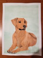 rhodesian ridgeback original watercolour painting /Art