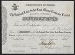 Holywell Level Silver Lead Mining Company Limited, £20 share, 1866, black, AEF