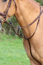 Shires Velociti Gara Running Martingale | 2 Colours | 5 Sizes