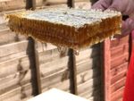 Raw Honeycomb DIRECT FROM THE HIVE  2025 New Harvest  Organic Pure Natural Honey
