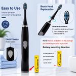 Electric Toothbrush - Daily Oral Care, Gentle Brushing Design, AA Battery Powere