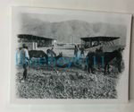 WW2 15th Punjab Regiment  Battalion Troops & Mules Quetta Camp  2.25 x 1.75 Inch