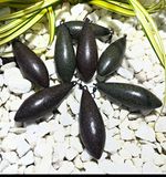 10x 4oz  zip distance leads SILTY GREEN
