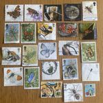 20 BUTTERFLY INSECT GB Used Stamps Off Paper Collection, Thematic.