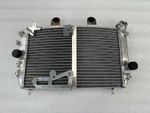 Alloy Radiator Fit Harley Davidson Sportster 1250 RH1250S 2021-2024