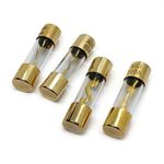 10-100A Gold Plated Glass AGU Car Audio Fuse for Car/Marine Audio Stereo Power