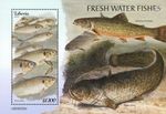 FRESHWATER FISH Fresh Water Fishes MNH 1v-Stamp Sheet #262 (2023 Liberia)