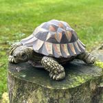Large Tortoise figurine realistic garden ornament statue decoration sculpture