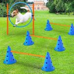 NEW Dog Agility Training Set Jump Bar Pet Obstacle Equipment Fast Shipping