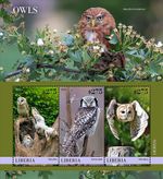 OWLS Birds of Prey Owl Bird MNH 3v-Stamp Sheet #2381 (2023 Liberia)