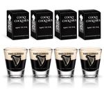 Baby Guinness Clear Shot Glasses - Pack of 4 - 50 ml