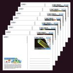 Minerals MNH Stationery Cards 2021 S. Tome & Principe Collection of 8 Cards