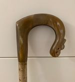 Lovely COW Horn crook HANDLE on Hazel ,Walking and Hiking stick.