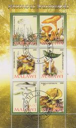 Mushrooms Malawi Stamped 4933