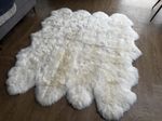 Genuine Australian XL Octo (8) Sheepskin Rug - Super Soft Silky Cream White Wool