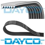DAYCO V-RIBBED BELT 6 RIBS 915mm AUXILIARY FAN DRIVE ALTERNATOR BELT 6PK915