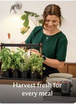 Auk Mini Bundle Starter Kit Indoor Smart Garden Hydroponic oak Black RRP £239