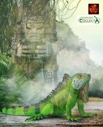 Green Iguana Lizard Reptile Toy Model Figure by CollectA 88965 New