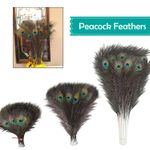 10-100pcs Peacock Natural Tail Feathers Hat Sewing Long For Party Decoration