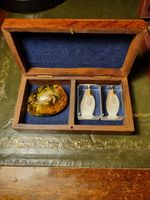 Vintage Specimen Box Resin Set