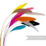 Loose Stripped Coque Feathers for Millinery & Hat Making - Pack of 10