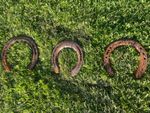 3 Authentic Steel Horse Shoes 