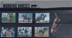 Working Horses Presentation Pack 2014 MNH Free Postage To UK