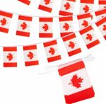 Canadian Flag Bunting 10M 30 Flag of Canada Party Decorations
