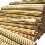6ft Bamboo Canes Thick Professional Bamboo Plant Support Garden Cane Pack Of 10