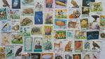 Azerbaijan Stamps Collection - 50 & 75 Different Stamps 