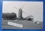 PHOTOGRAPH, HOG HILL MILL, ICKLESHAM, EAST SUSSEX, 1951