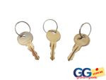 Thule Spare Key's Genuine All Numbers Available No 001-199 Roof Box