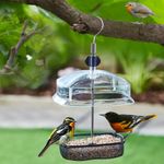 Hanging Wild Bird Feeder Station Height Adjustable Baffle Dome Peanut Seed Feed