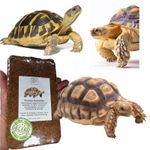 Tortoise Soil, Vivarium Substrate, Coco Coir 8-9L block, Great for all tortoises