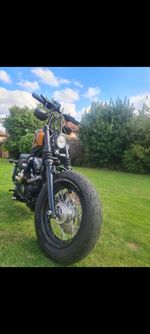Harley 48 Forty Eight 1200 Priced to Sell Low Mileage