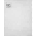 Zehrco-Giancola 10 Count Plastic Canvas 10.5" x 13.5"
