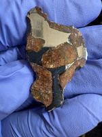 6.4g slice of NEA 130 pallasite main group/ rare Chad find