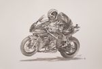 Jonathan Rea Kawasaki racing team prints