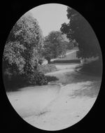Magic Lantern Slide ROAD TO CLAXBY DATED 1901 PHOTO LINCOLNSHIRE 