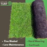Lawn Turf - Seeded Multipurpose Garden Lawn Turf Rolls - UK delivery - READ INFO