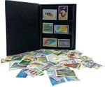 IMPACTO COLECCIONABLES | 100 Aquatic Animal Stamps Collection with Album