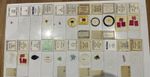 Lovely Set of 22x Biological Microscope Slides Glass Botany Insects Vintage