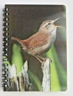 Jenny Wren 3D image on the cover of a pocket Notebook