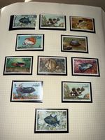Qatar 1965 Arabian Gulf Fish Marine Life Rare Stamps Set Perfect Mint ** MNH
