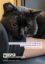 RSPCA SW LONDON TOOK STREET CAT BOB AND GAVE HIM A SECOND CHANCE - PLEASE DONATE