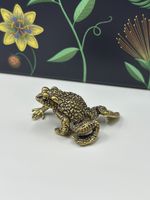 Superb Brass Toad - Super Detail