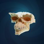 Gremlins Skull Ornament Or Display 3d Printed