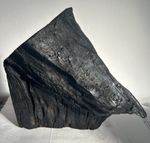Irish Bog Oak Sculpture Ancient Abstract Art Strength Magical Decorative Gift