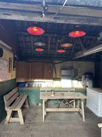 6 x Infrared Heat Lamps with Cages, Chains & Plugs Poultry/Foal/Lambing/Kennels 